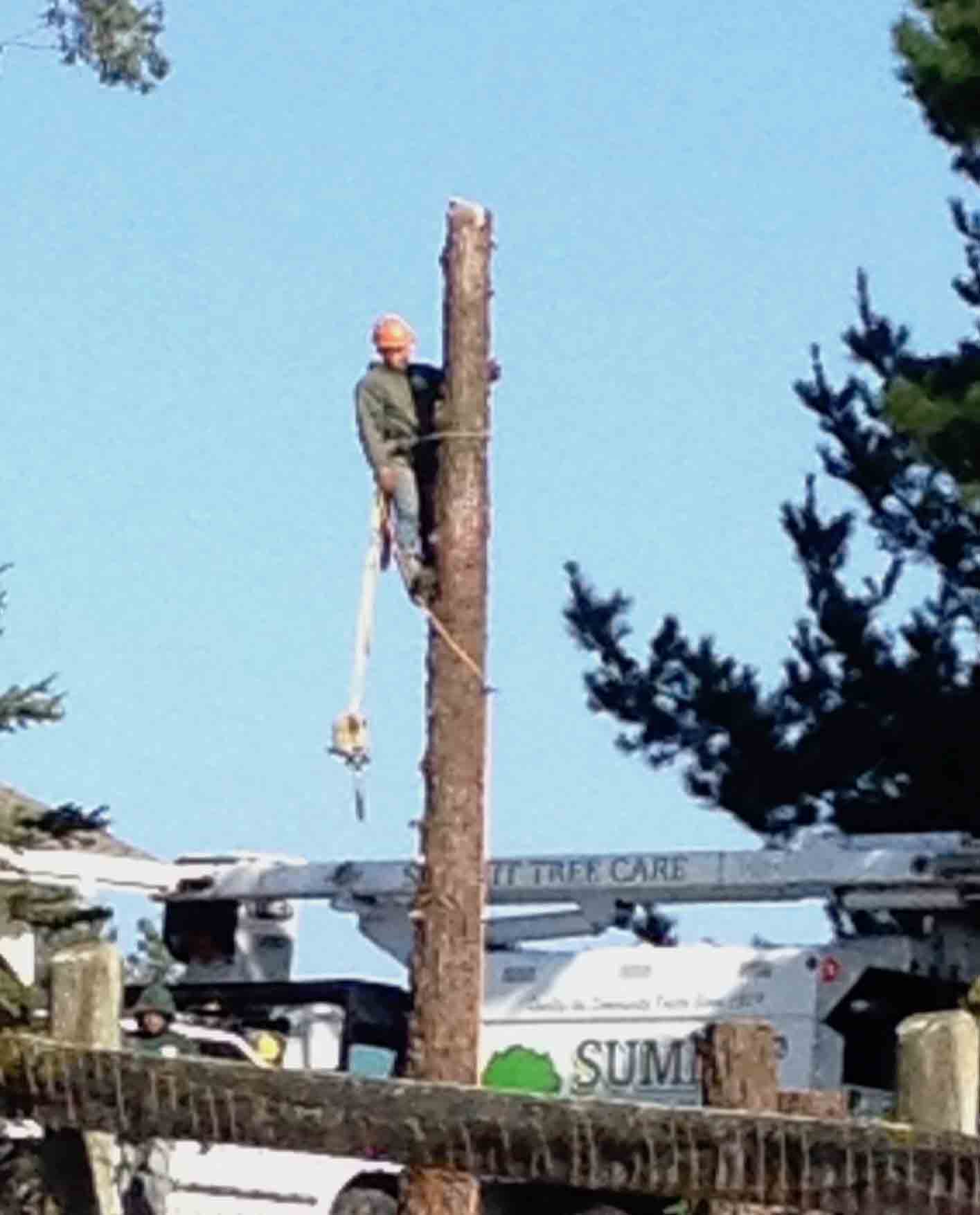 Proposal on Power Saw Safety CALOSHA Reporter